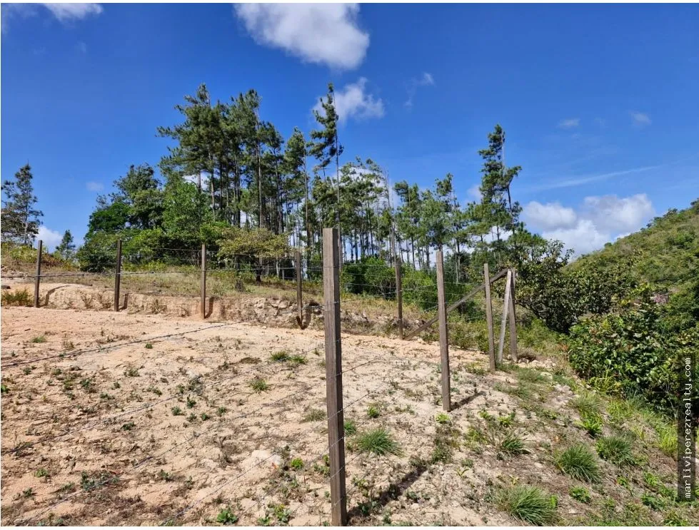 Venta de Terreno en Penonomé