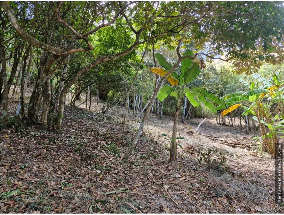 Venta de Terreno en Penonomé