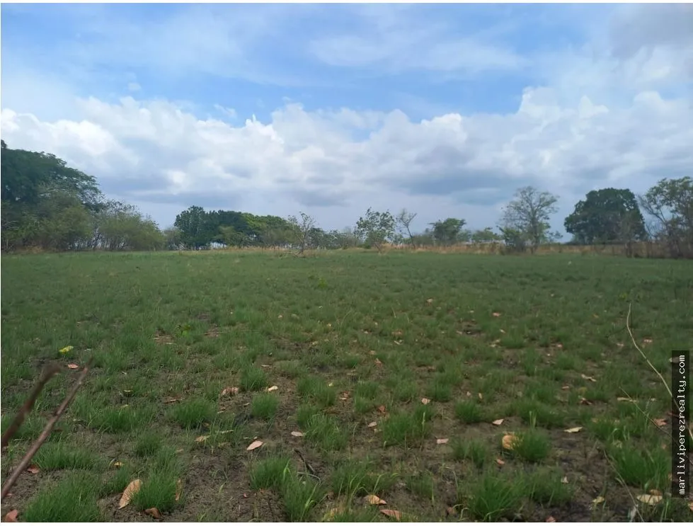 Venta de Terreno en Antón