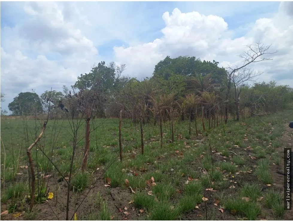 Venta de Terreno en Antón
