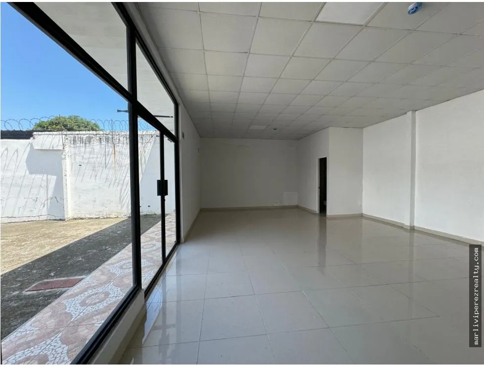 Commercial Lot for sale in Carrasquilla