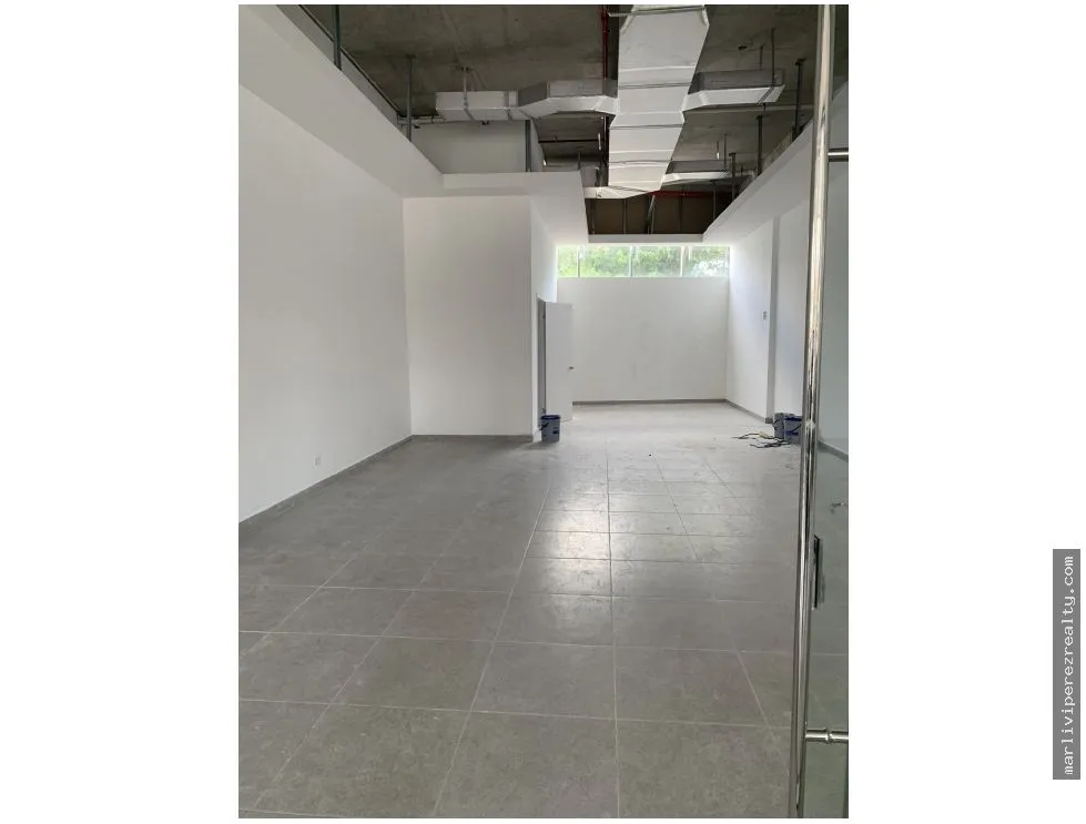 Commercial Space Rentals on Vía Israel