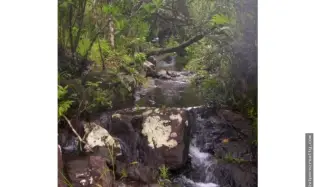 Venta de Terreno en Calobre