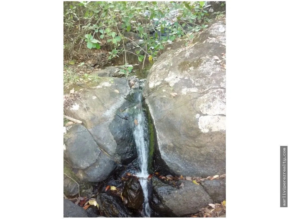 Venta de Terreno en Calobre