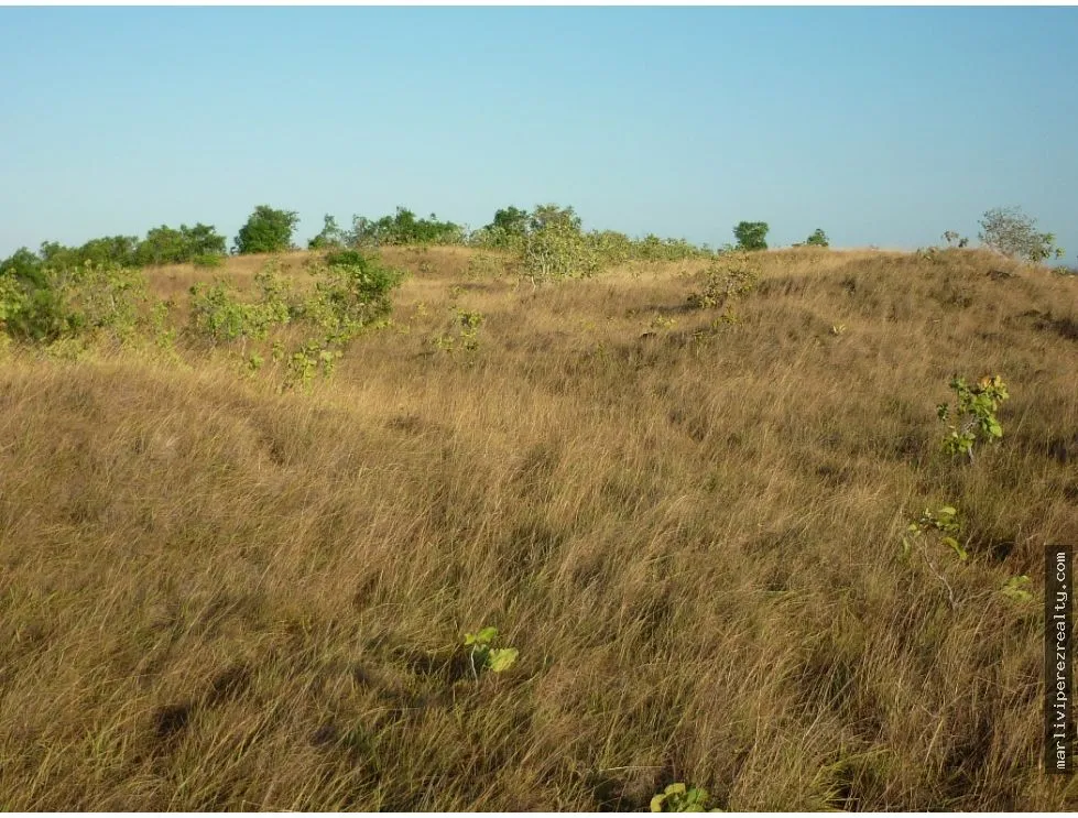 Venta de Terreno en Calobre