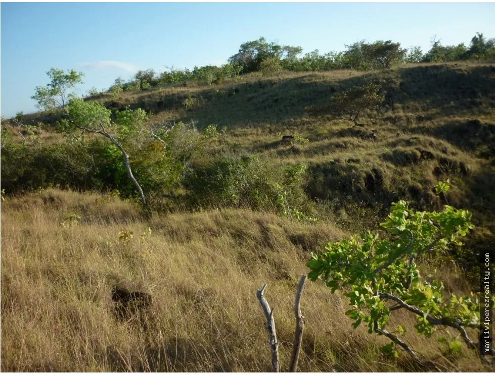 Venta de Terreno en Calobre