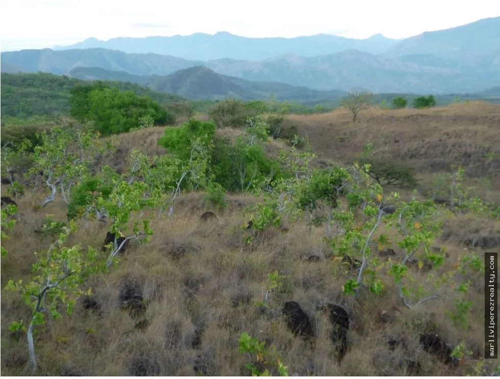 Venta de Terreno en Calobre