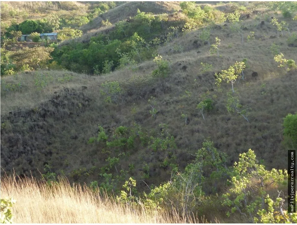 Venta de Terreno en Calobre