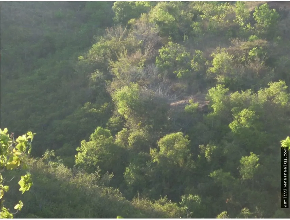 Venta de Terreno en Calobre