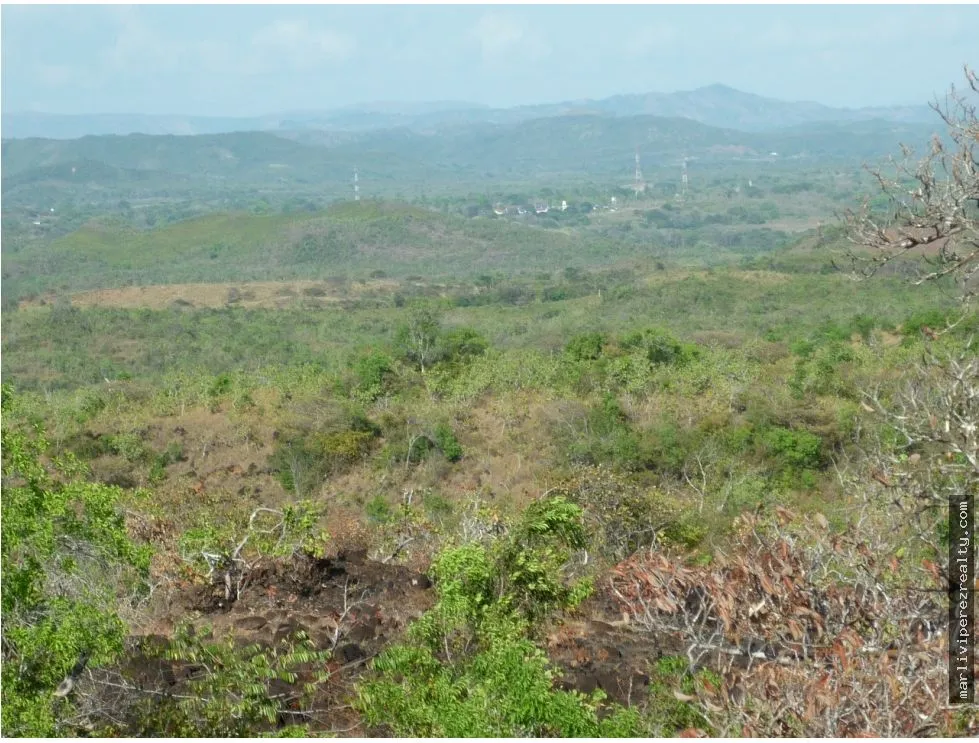 Venta de Terreno en Calobre