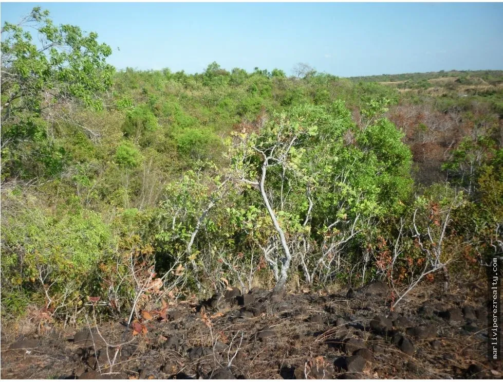 Venta de Terreno en Calobre