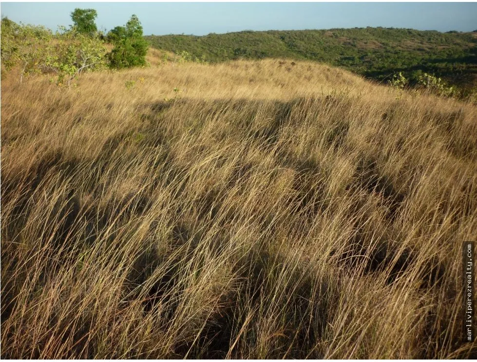 Venta de Terreno en Calobre