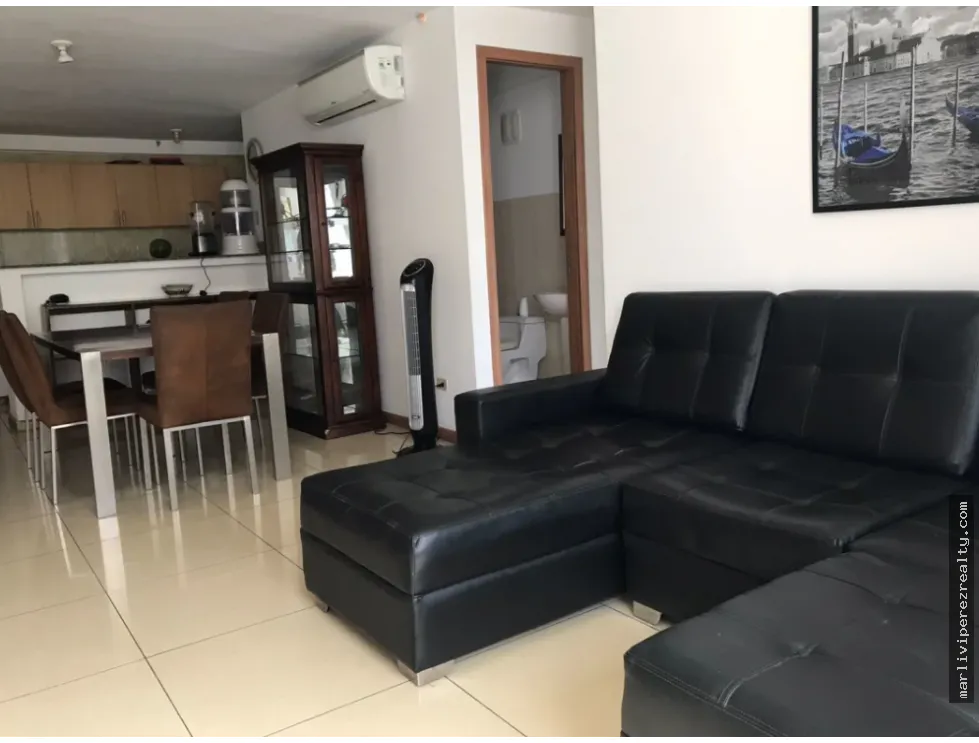 Furnished Apartment Rental in Condado del Rey