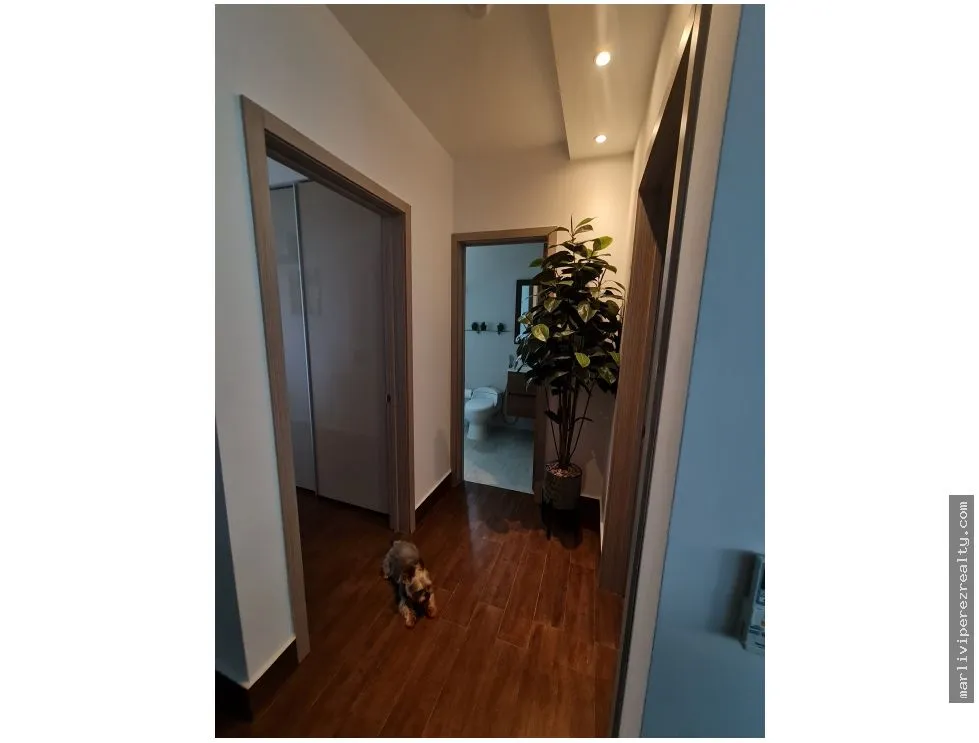 Appartement à Juan Diaz à vendre