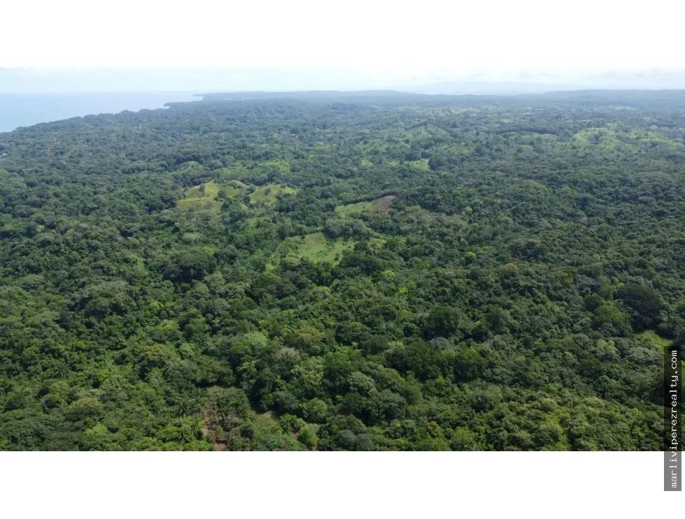 Land for Sale or Rent in the Caribbean Sea, Colón, Salud