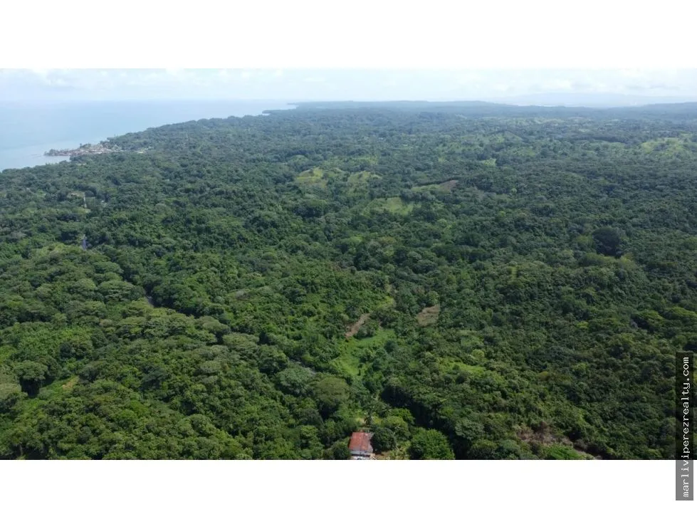 Land for Sale or Rent in the Caribbean Sea, Colón, Salud