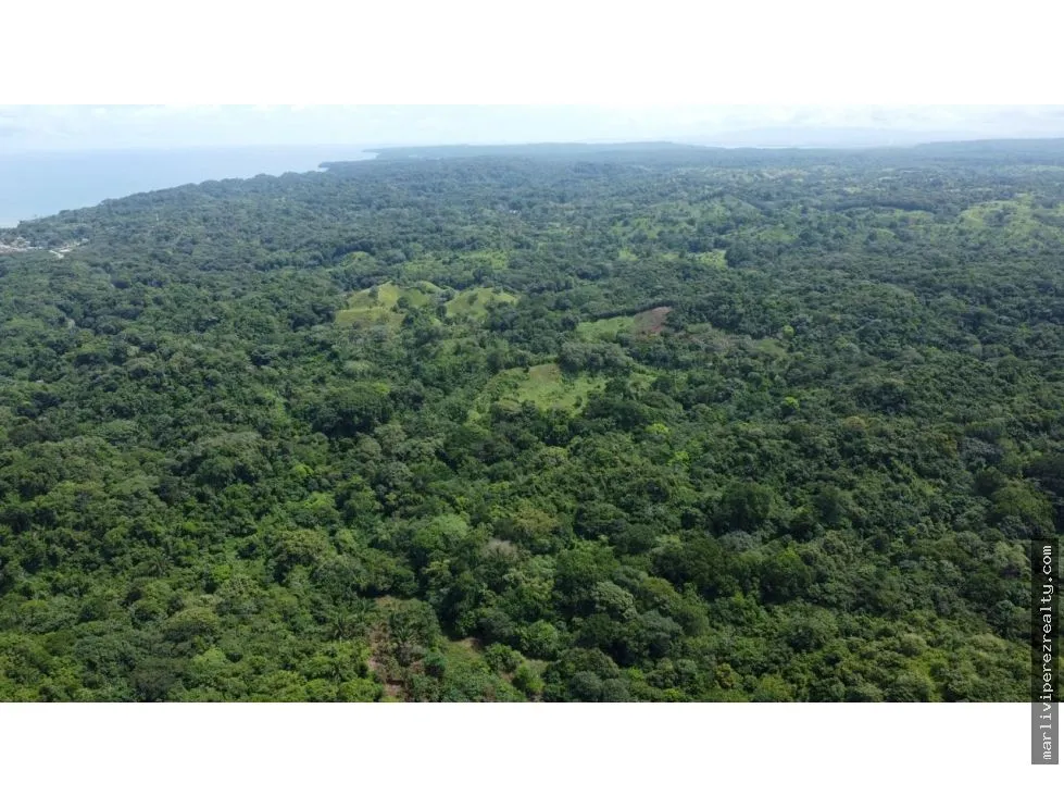 Land for Sale or Rent in the Caribbean Sea, Colón, Salud