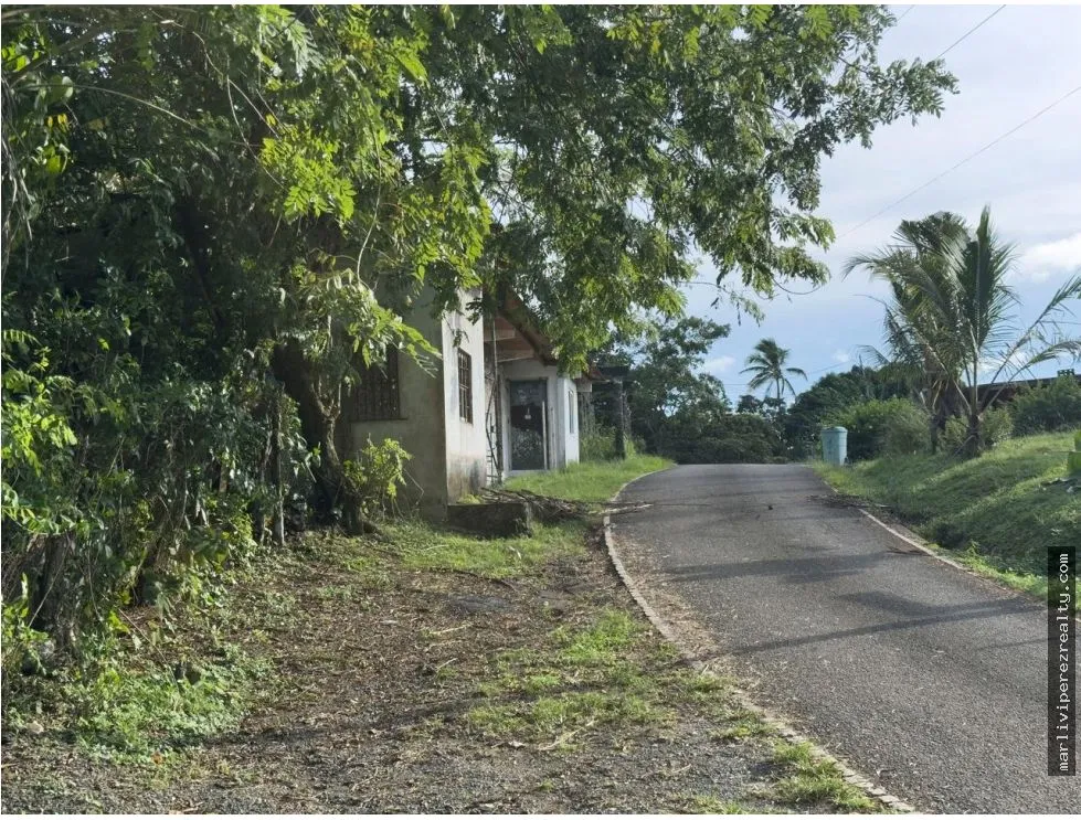 Land for Sale or Rent in Colón, Escobal