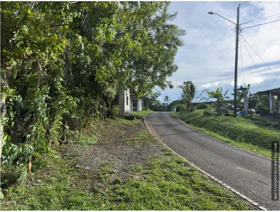 Land for Sale or Rent in Colón, Escobal