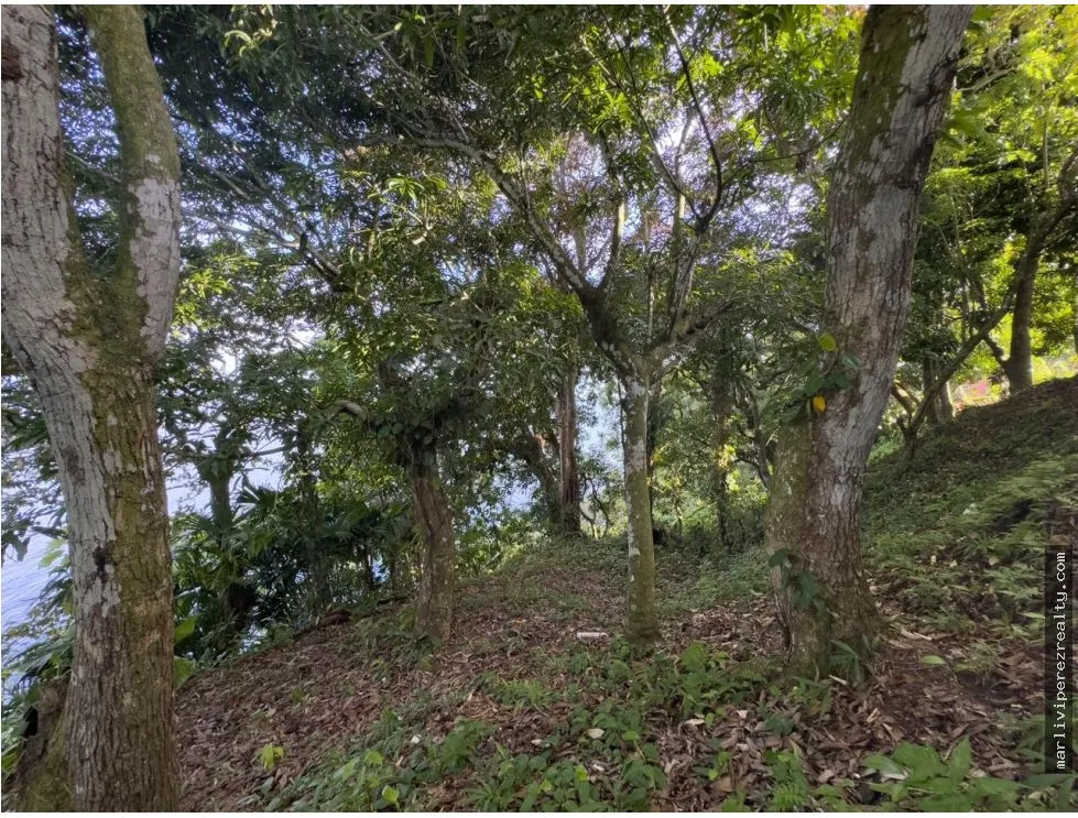 Land for Sale or Rent in Colón, Escobal