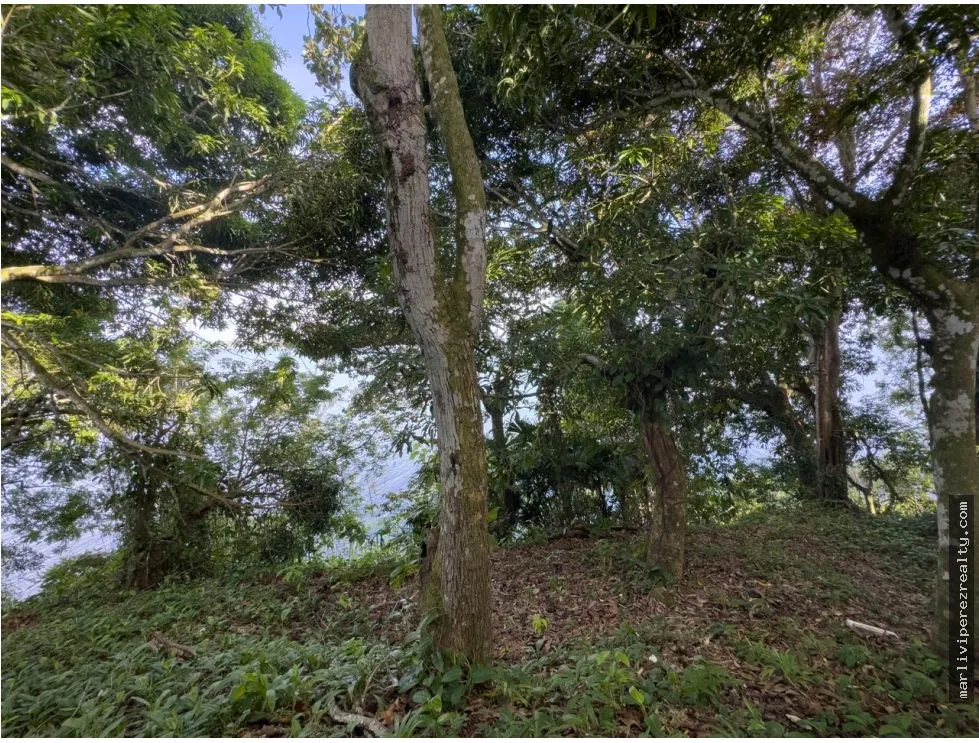 Land for Sale or Rent in Colón, Escobal