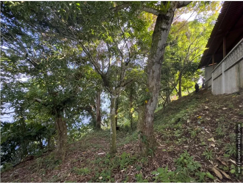 Land for Sale or Rent in Colón, Escobal