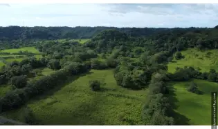 Land for Sale or Rent in Colón, Achiotes
