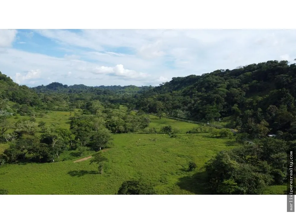 Land for Sale or Rent in Colón, Achiotes
