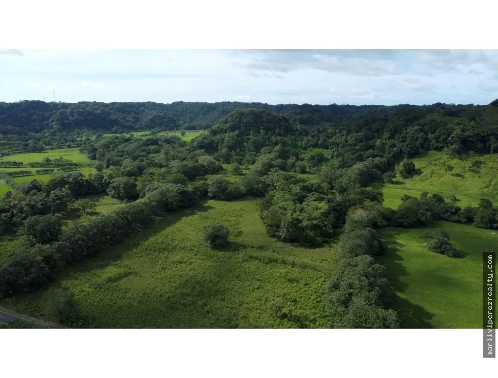 Land for Sale or Rent in Colón, Achiotes