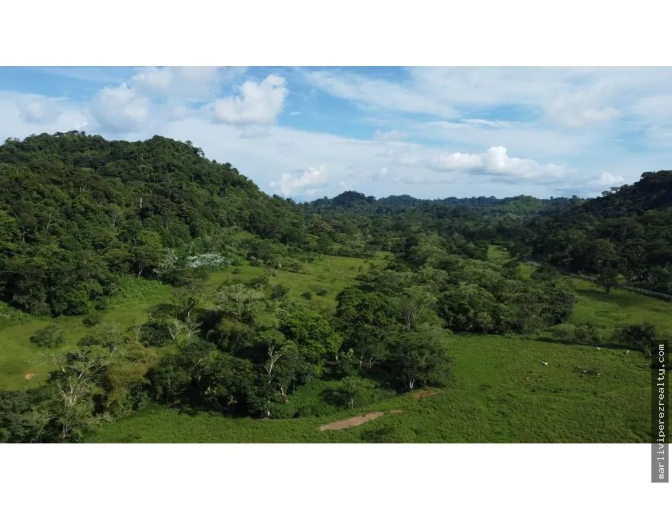 Land for Sale or Rent in Colón, Achiotes
