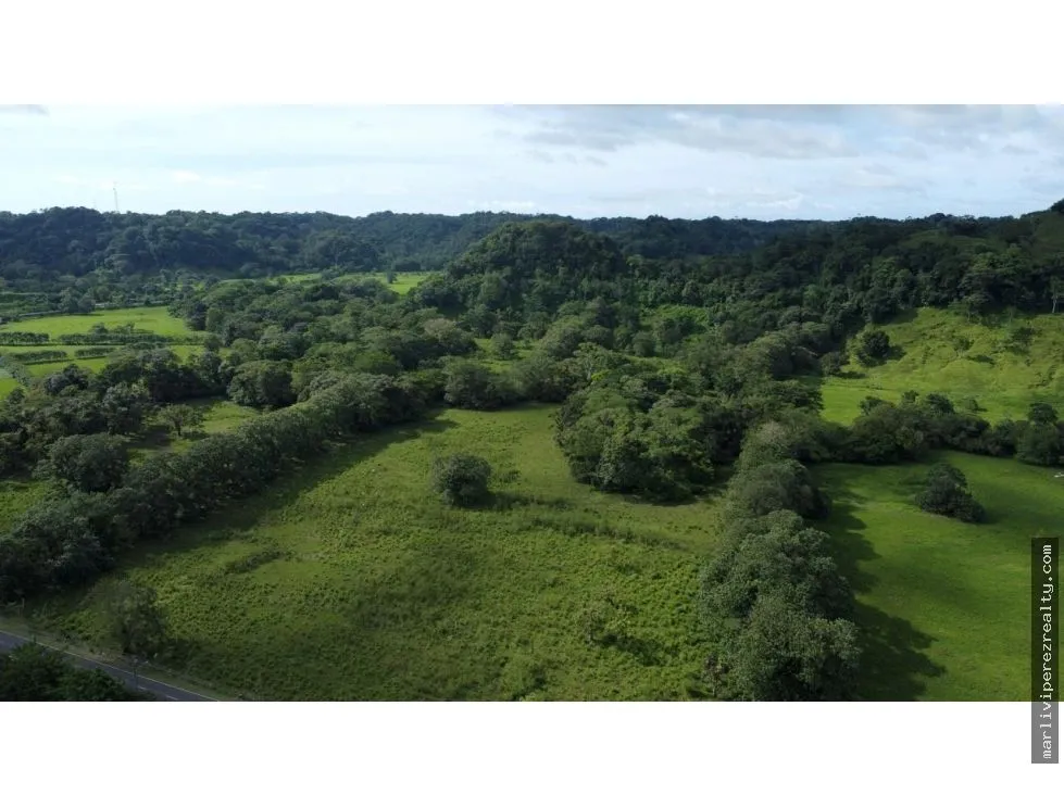 Land for Sale or Rent in Colón, Achiotes