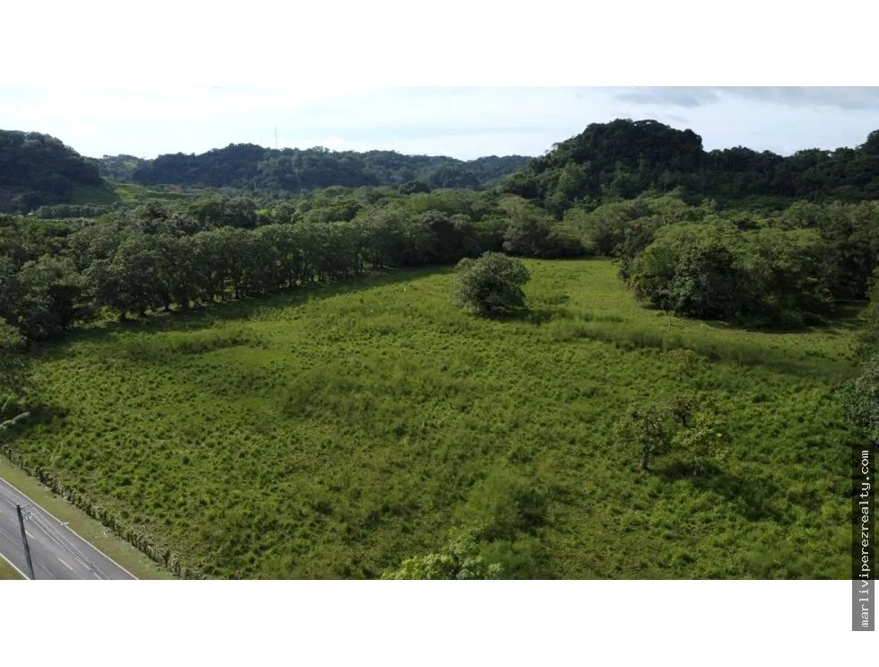 Land for Sale or Rent in Colón, Achiotes