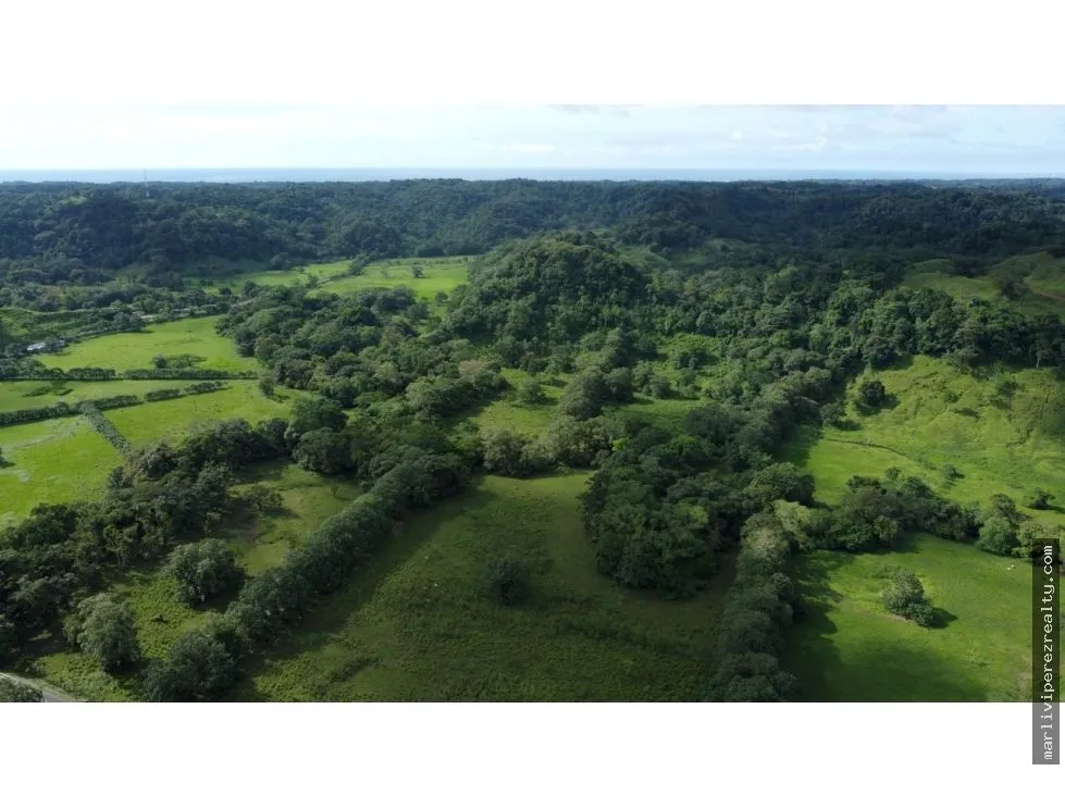 Land for Sale or Rent in Colón, Achiotes