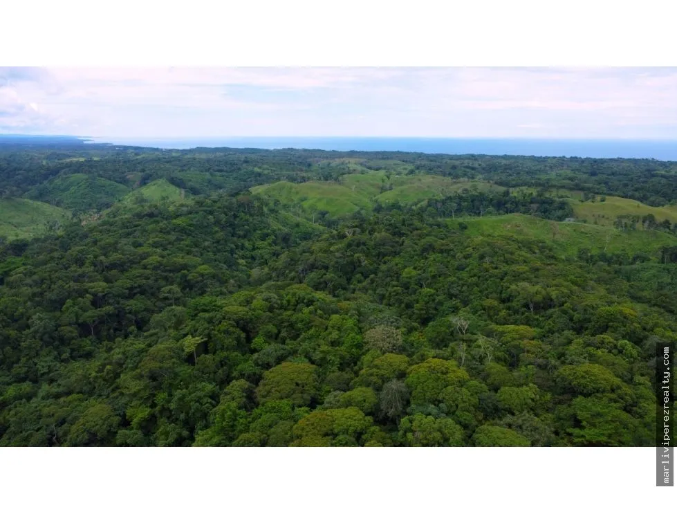 Land for Sale or Rent in Colón, Piña