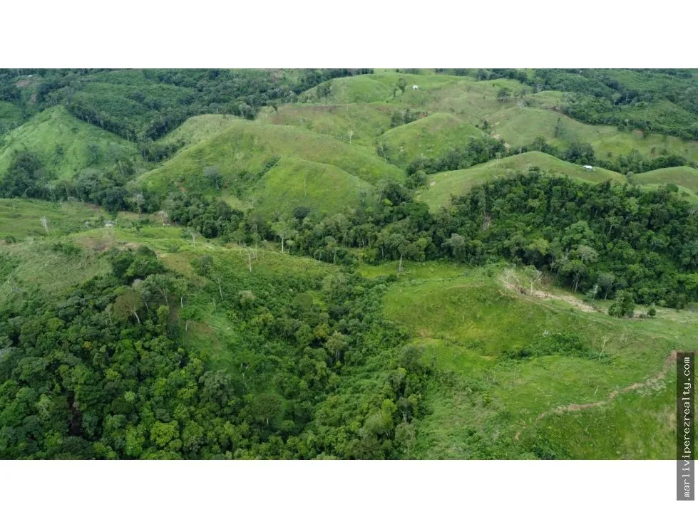 Land for Sale or Rent in Colón, Piña