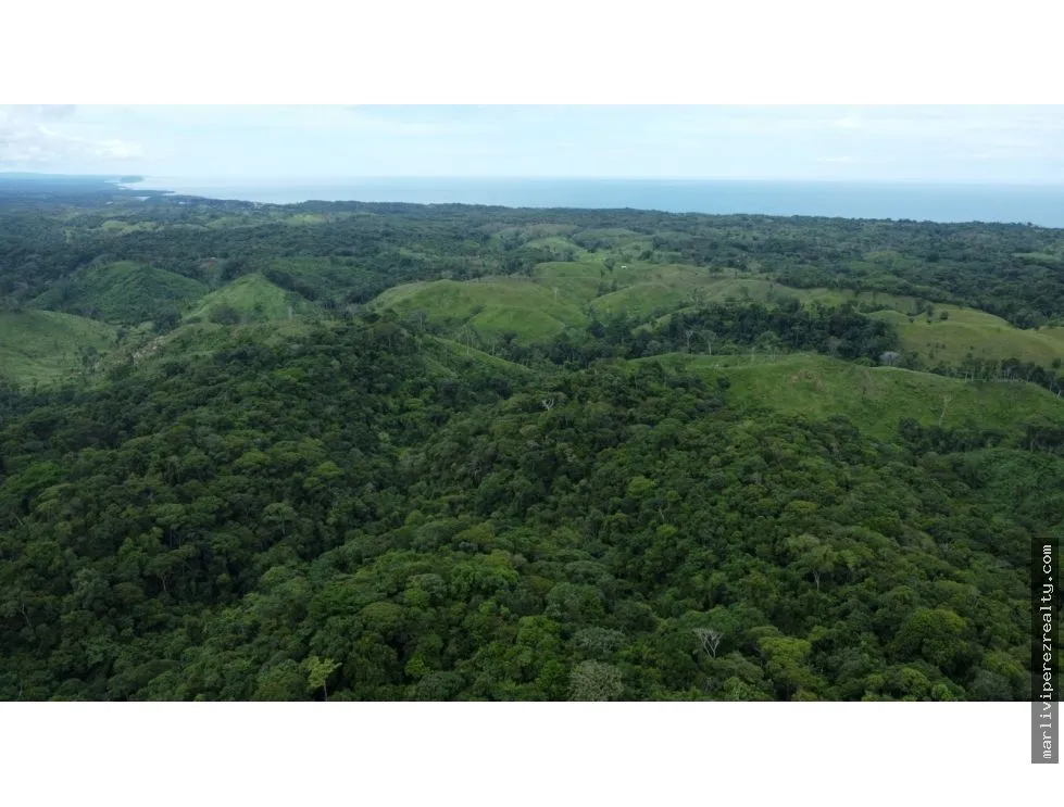 Land for Sale or Rent in Colón, Piña
