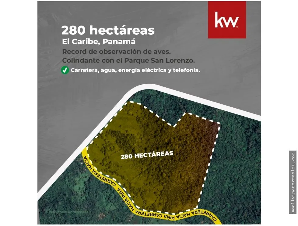 Land for Sale or Rent in Colón, Piña