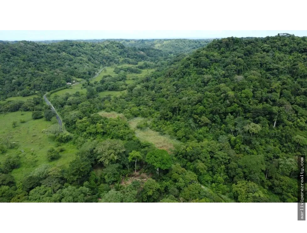 Land for Sale or Rent in Colón, Piña