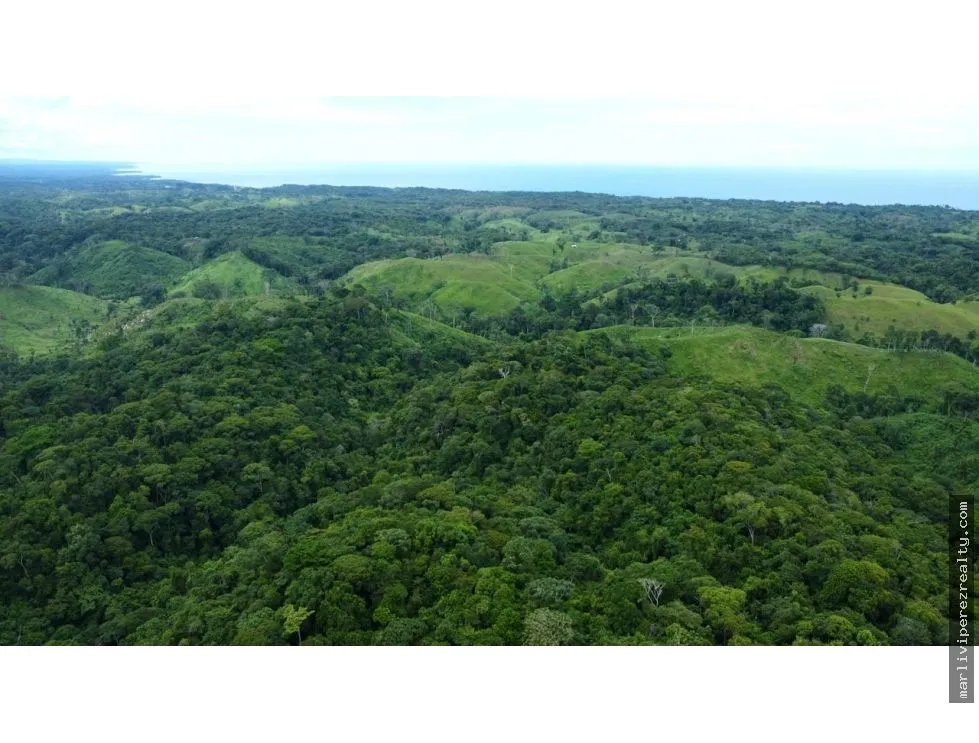 Land for Sale in Colón, Achiote