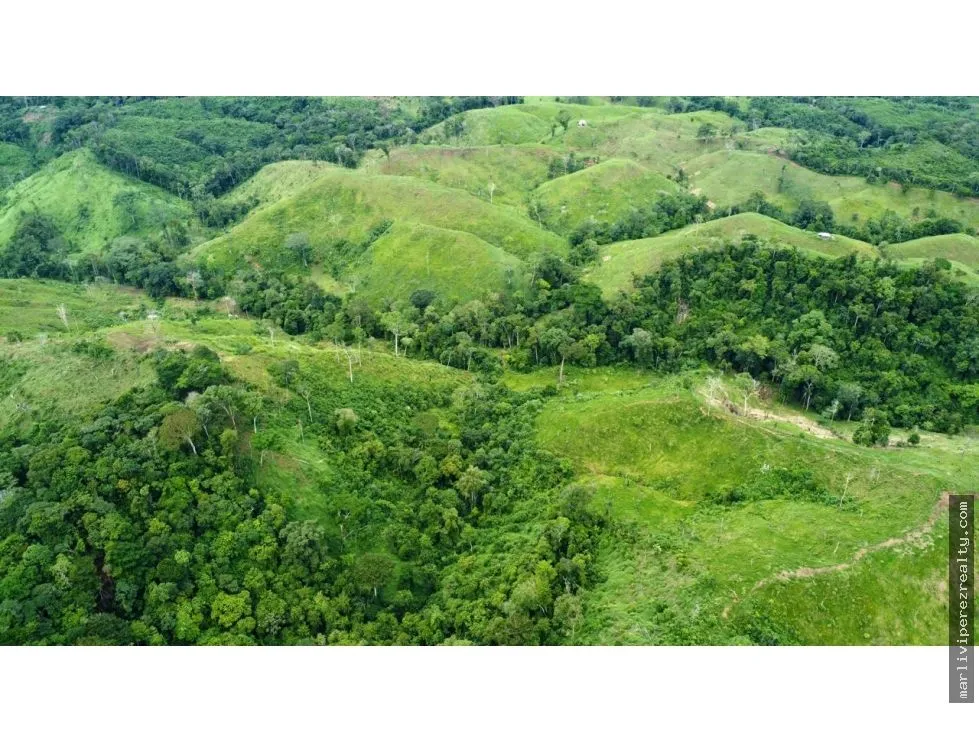 Land for Sale in Colón, Achiote