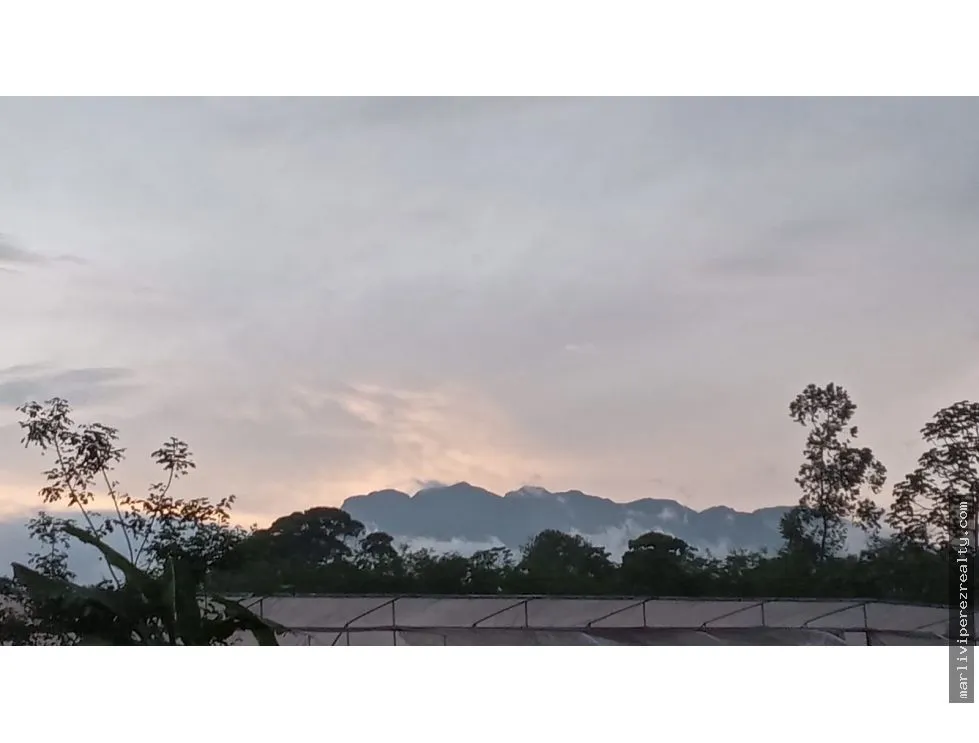 Land Sale in Chiriquí