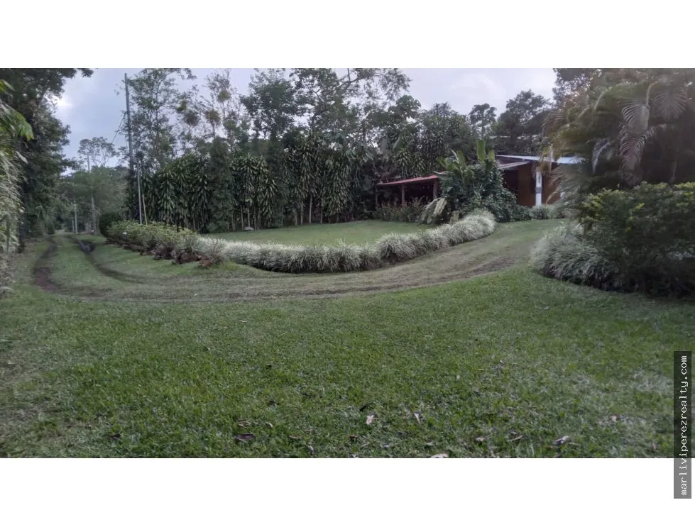 Land Sale in Chiriquí