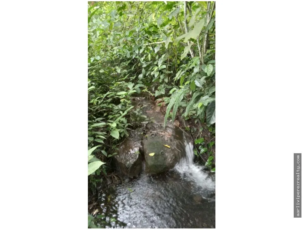 Land Sale in Chiriquí