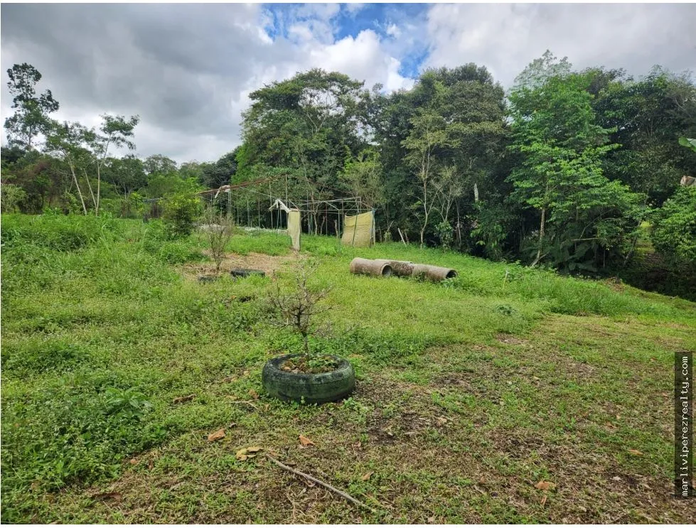 Land Sale in Chiriquí