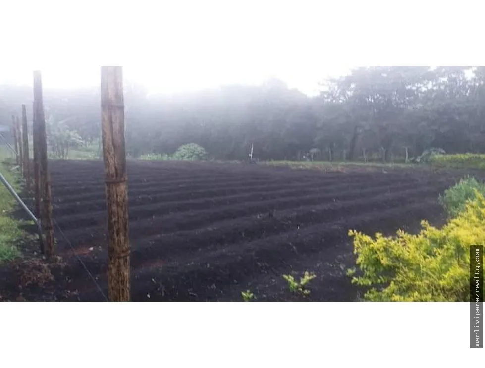 Land Sale in Chiriquí