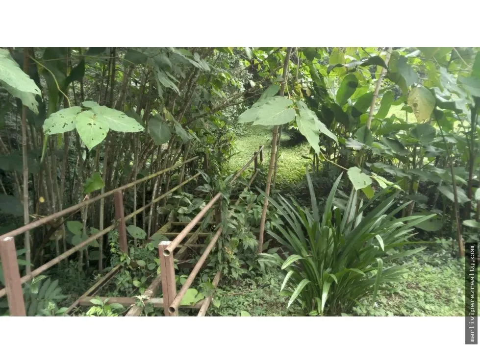 Land Sale in Chiriquí