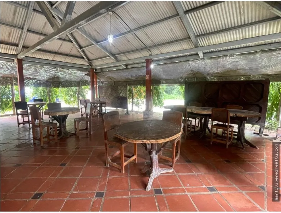 Restaurant for Sale in Tonosí, Los Santos