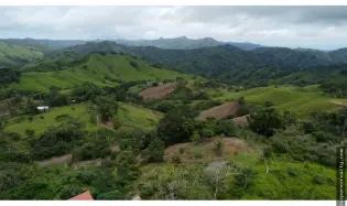 Land for Sale in El Espavé, Tonosí