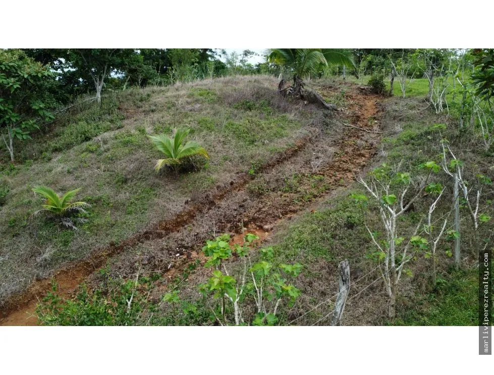 Land for Sale in El Espavé, Tonosí