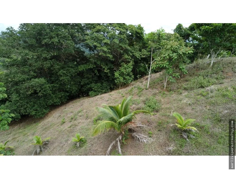 Land for Sale in El Espavé, Tonosí
